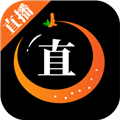 91浏览器APP应用